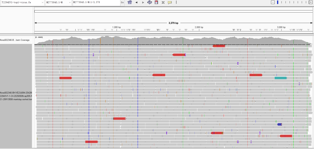 iGeneTech's multiplex virus detection solution accurately addresses multiple threats such as Yellow Fever and Zika