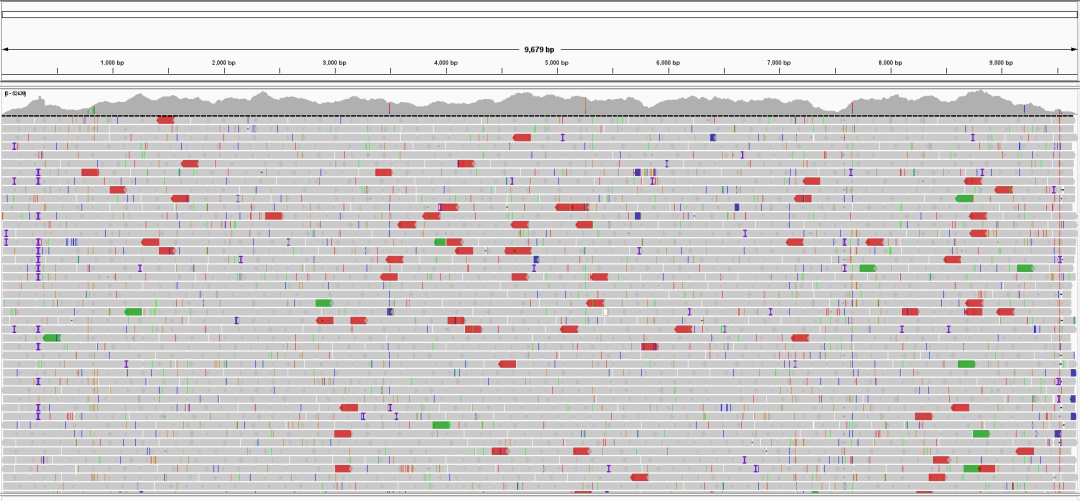 iGeneTech created whole-genome detection solutions for hepatitis-related pathogens, covering core pathogenic viruses such as hepatitis B, C, A, and E