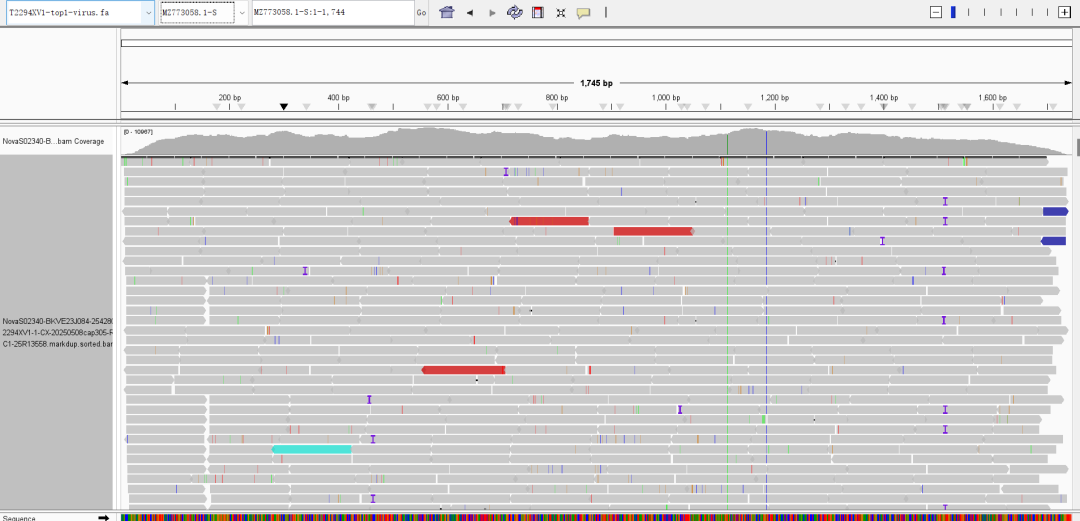 iGeneTech's multiplex virus detection solution accurately addresses multiple threats such as Yellow Fever and Zika