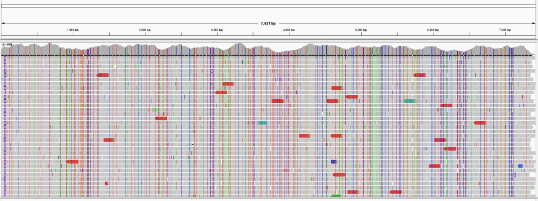 iGeneTech created whole-genome detection solutions for hepatitis-related pathogens, covering core pathogenic viruses such as hepatitis B, C, A, and E