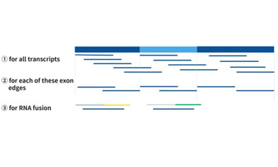 Guide for RNA Capture Panels and Detailed Explanation of Protocols