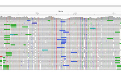 iGeneTech created whole-genome detection solutions for hepatitis-related pathogens, covering core pathogenic viruses such as hepatitis B, C, A, and E