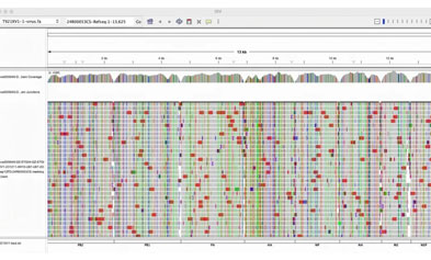 Influenza A Virus Subtype H3N2 Detection