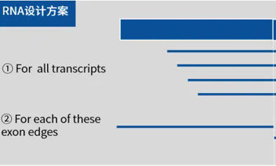 New Product Launch-RNA Exome: Comprehensive and Accurate Capture of Whole Transcriptome Information