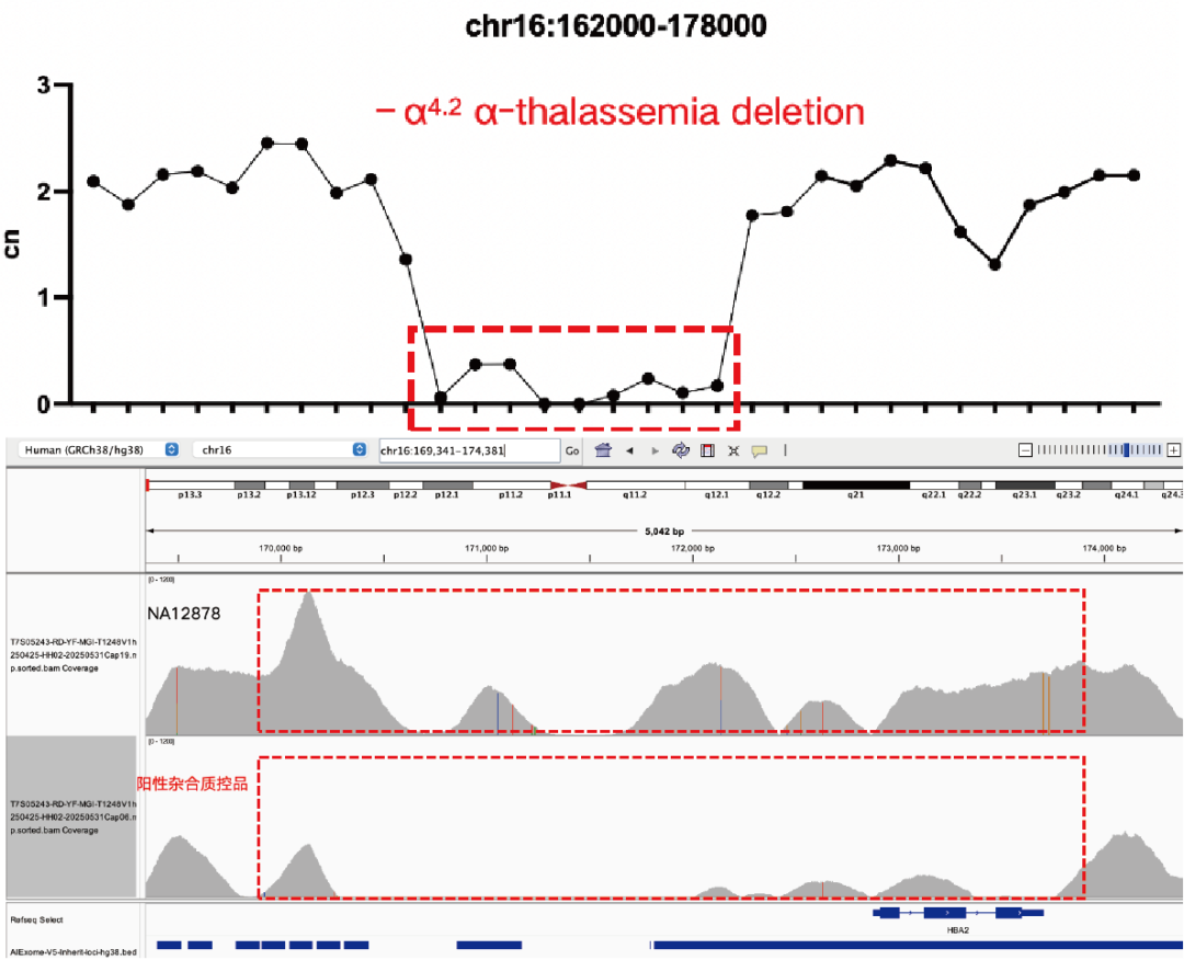 AIExome V5-Inherit Edition is now available!