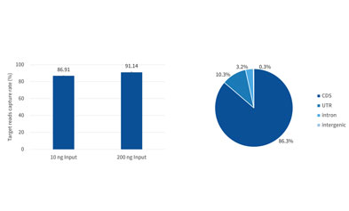 Overcome the double obstacles of RNA-seq! iGeneTech's Dual-Effect Blocking Reagent unlocks high-quality data in 7 minutes