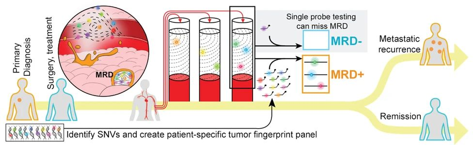 High cost of MRD testing? How to overcome the predicament and enhance the clinical value of tumor diagnosis and treatment High cost of MRD testing? How to overcome the predicament and enhance the clinical value of tumor diagnosis and treatment