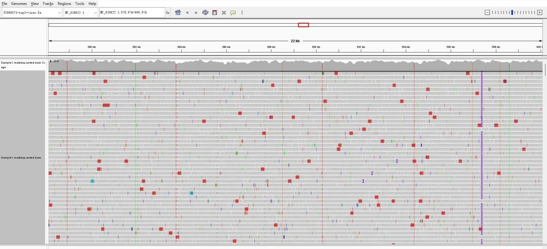 IGT: Precise Traceability, Early Detection of Chlamydia psittaci IGT: Precise Traceability, Early Detection of Chlamydia psittaci
