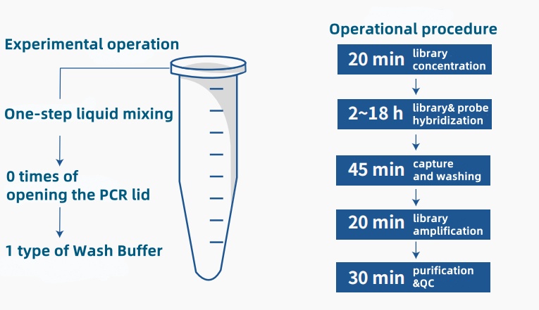 iGeneTech TargetSeq One® Hyb & Wash Kit v3.0: Ultra-simple reagent composition and workflow, with excellent performance iGeneTech TargetSeq One® Hyb & Wash Kit v3.0: Ultra-simple reagent composition and workflow, with excellent performance