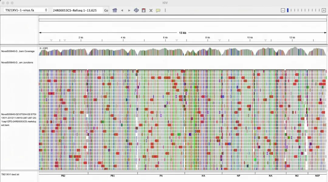 Influenza A Virus Subtype H3N2 Detection