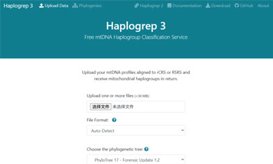 Accurately Trace Maternal Ancestry? A Practical Evaluation of 4 Mainstream Mitochondrial Maternal Haplogroup Analysis Tools