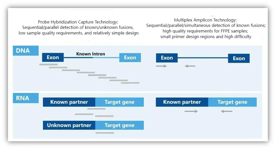 The Necessity of Combined Detection of Tumor DNA and RNA