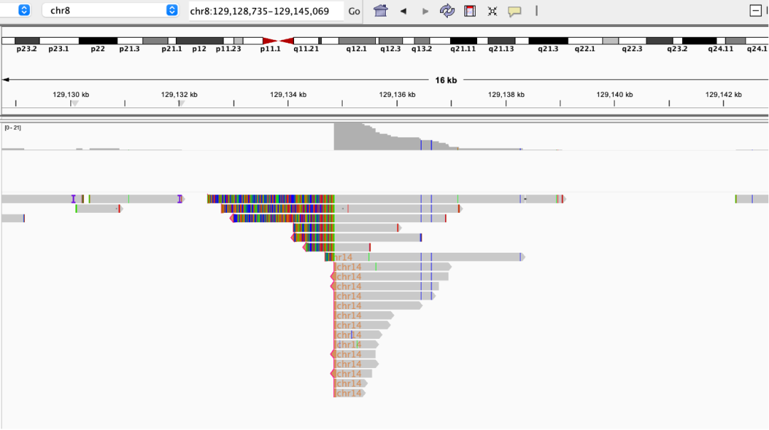 IGT® Long-Read DNA Library Prep Kit V2 New Launch IGT® Long-Read DNA Library Prep Kit V2 New Launch