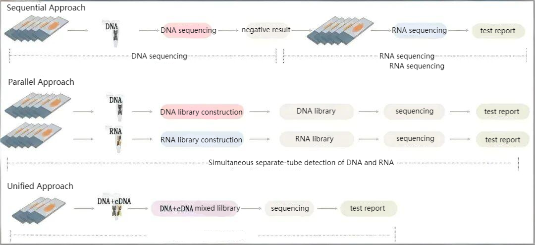 The Importance of Preventing Missed Detection of Fusion Genes