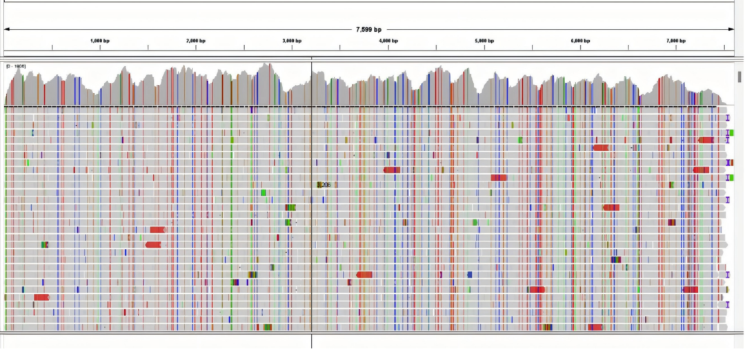 iGeneTech Norovirus Probes: Broad-Spectrum, High-Sensitivity, Automated