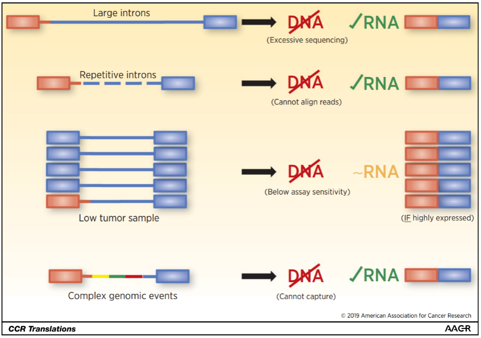 The Importance of Preventing Missed Detection of Fusion Genes