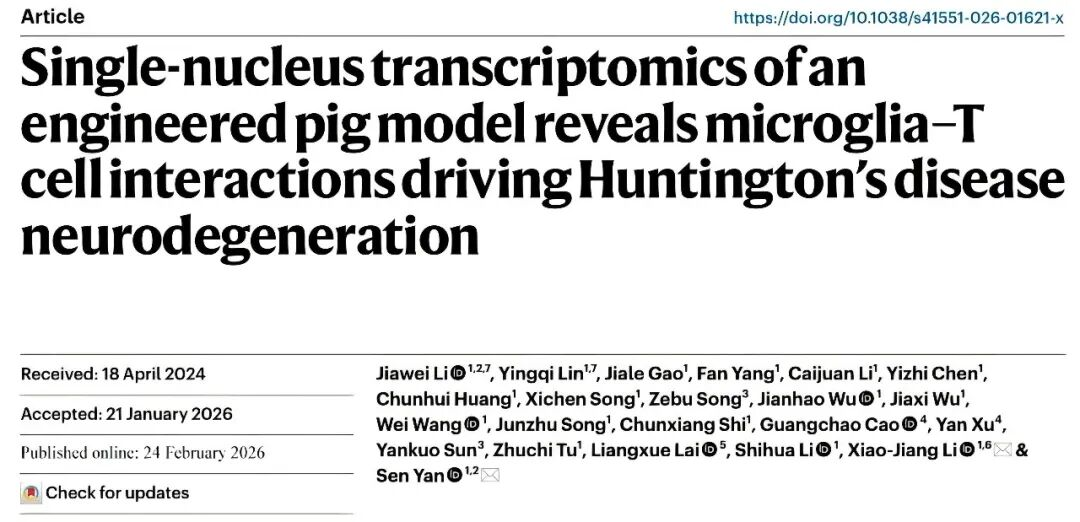 iGeneTech Supports Huntington's Disease Research: TCR Sequencing Unravels the Mechanism of T-Cell 'Crossover' Attack