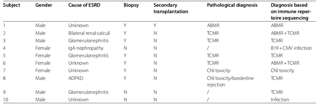 New Breakthrough in Immune Repertoire: iGeneTech Empowers Precise Classification of Renal Transplant Rejection
