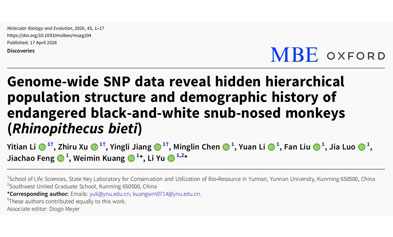 Fecal Whole-Genome Capture | Facilitating Research on Genetic Structure and Targeted Conservation of Yunnan Snub-Nosed Monkeys