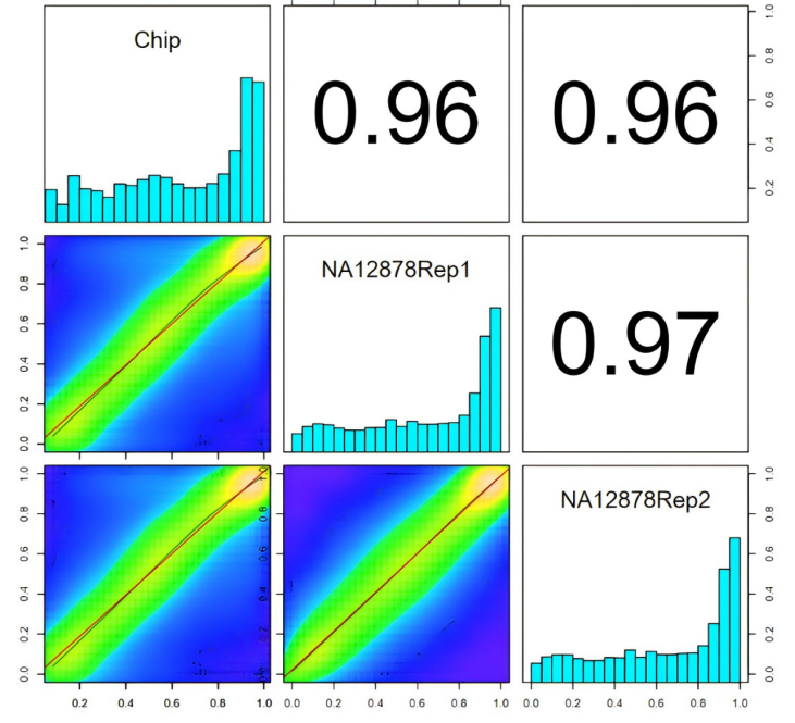Complete Analysis of iGeneTech Methylation Technology Platform: A One-Stop Solution from Library Construction to Target Capture Complete Analysis of iGeneTech Methylation Technology Platform: A One-Stop Solution from Library Construction to Target Capture
