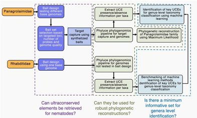 iGeneTech Ultraconserved Elements (UCEs) Capture Solution Empowers Multi-Taxa Research