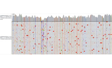 iGeneTech Whole-Genome Capture Solution for measles