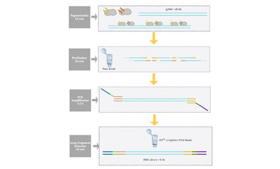 IGT® Long-Read DNA Library Prep Kit V2 New Launch