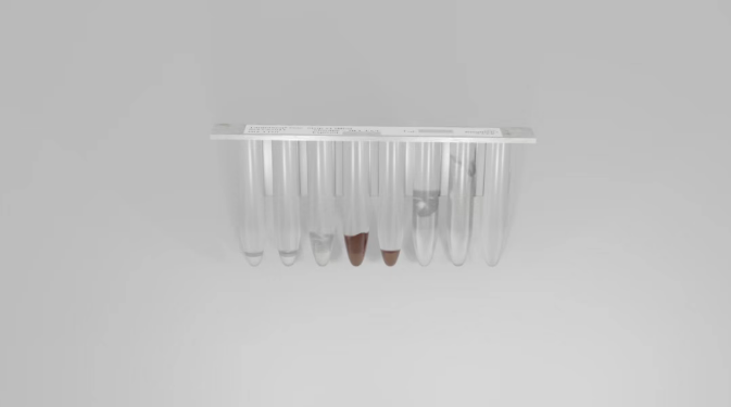 IGT-AS12+ Reagent Strip: Avoid complicated steps, Enabling Accurate and Direct Access to Full-Length Pathogen Sequences IGT-AS12+ Reagent Strip: Avoid complicated steps, Enabling Accurate and Direct Access to Full-Length Pathogen Sequences