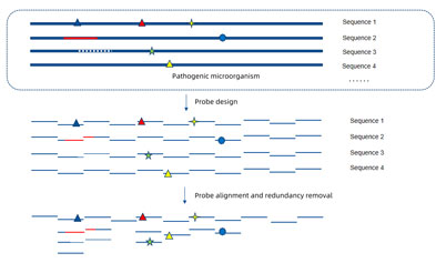 Solution for the frequent occurrence of influenza viruses and rapid strain variation