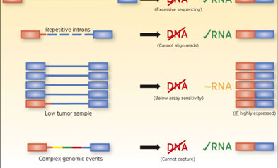 The Importance of Preventing Missed Detection of Fusion Genes