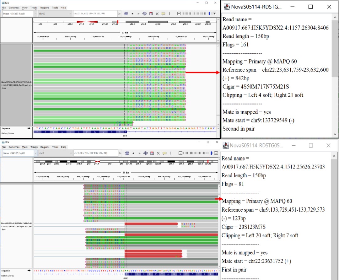 iGeneTech Hematologic Tumor Fusion Gene RNA Panel iGeneTech Hematologic Tumor Fusion Gene RNA Panel