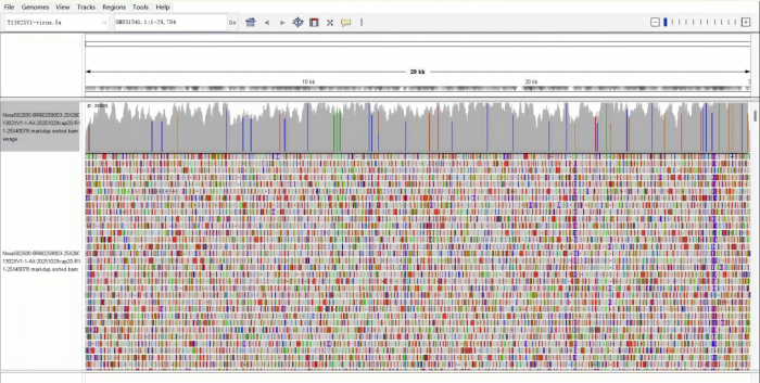 igenetech-probe-enables-accurate04.png igenetech-probe-enables-accurate04.png